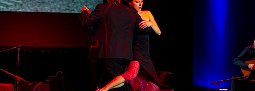 New Tango Bridge - Wrocław Gitara 2011